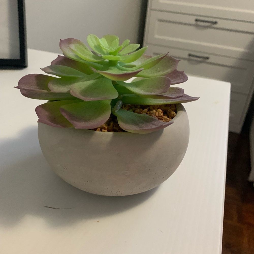 Fake plant